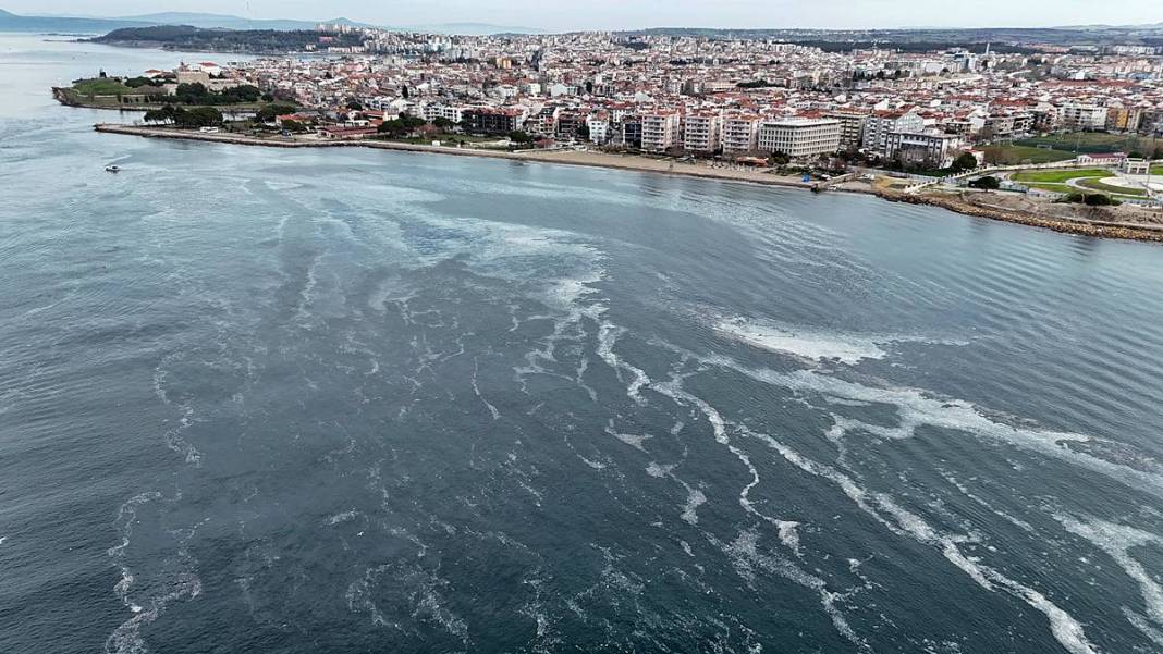 Müsilajla mücadele etmeleri için o bölgeye öbek öbek yerleştiriliyor! Bakanlık, sanayi, üniversite, TÜBİTAK işbirliği 2